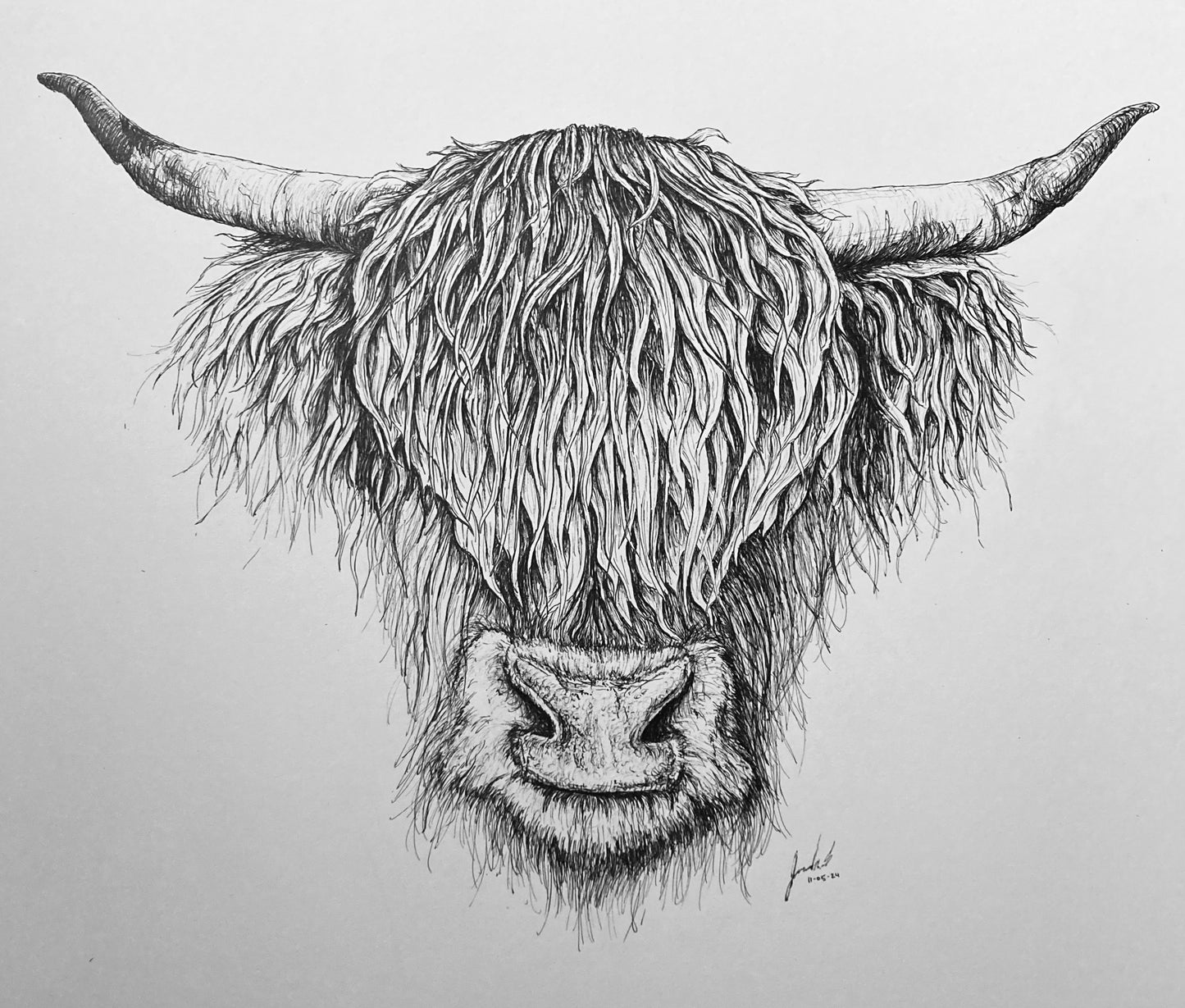 Highland Cow Head Print