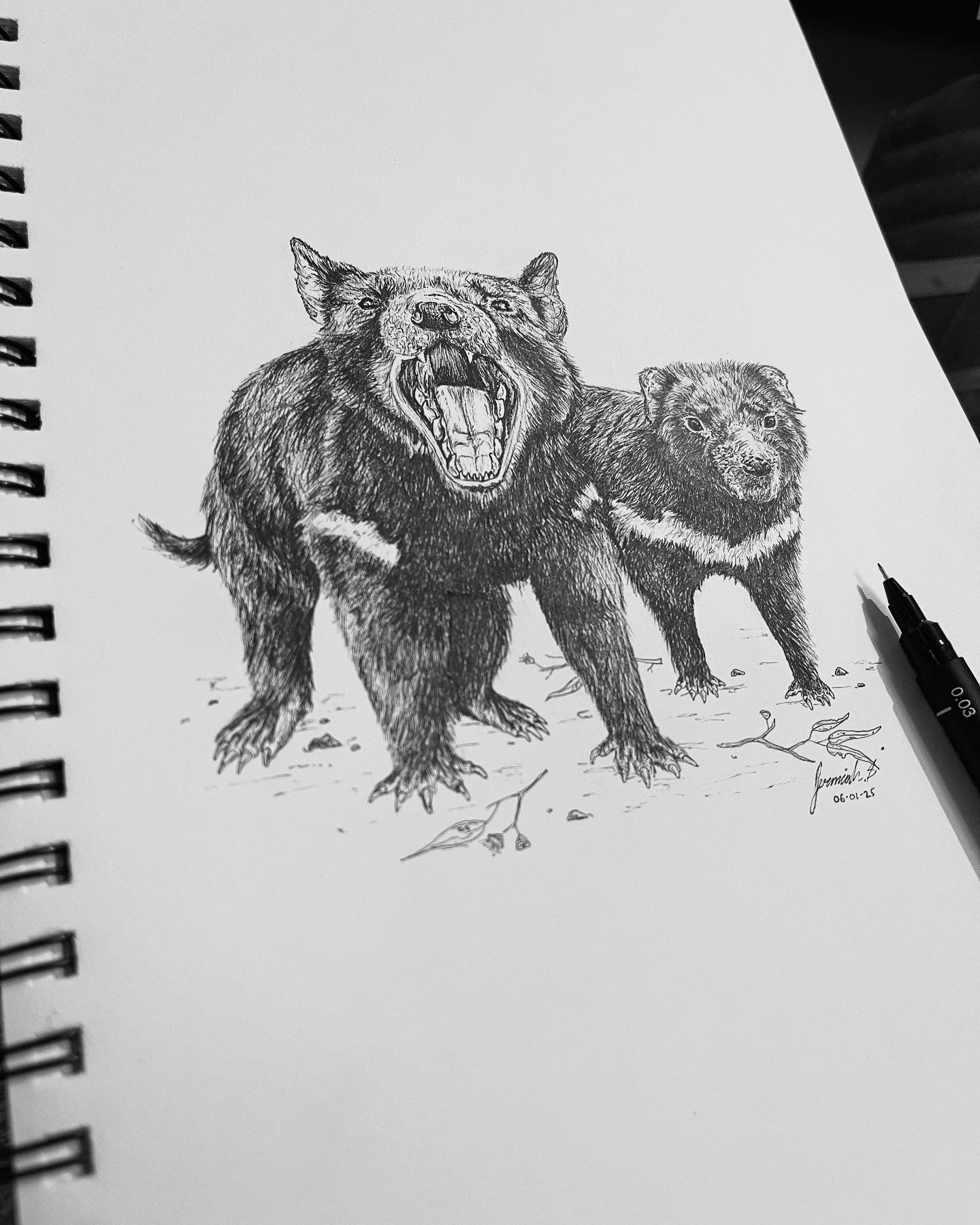 Tasmanian Devils Print